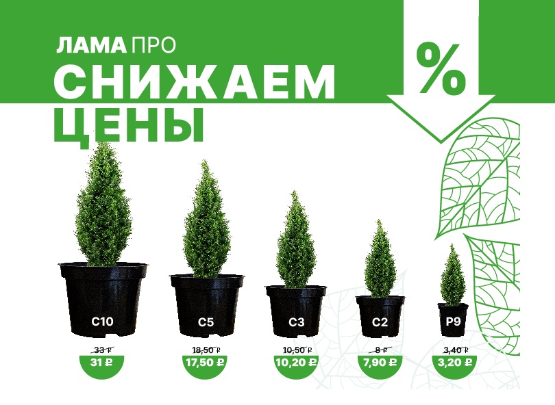 Снижаем цены на литьевые контейнеры! 